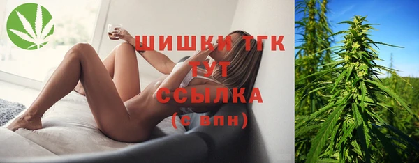 ПСИЛОЦИБИНОВЫЕ ГРИБЫ Коряжма