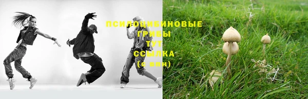 PSILOCYBIN Абаза
