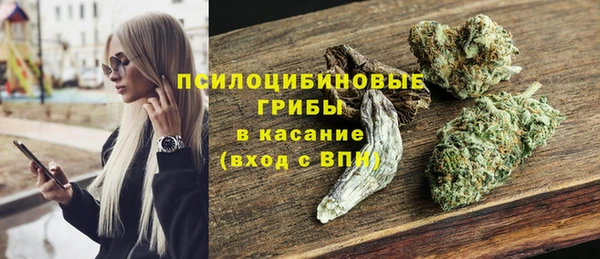 дживик Костерёво