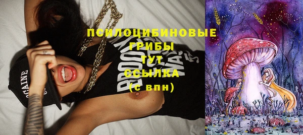 таблы Алзамай