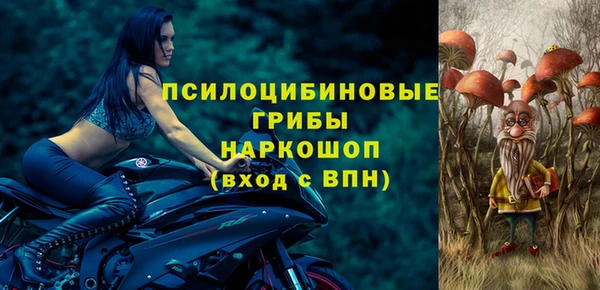 PSILOCYBIN Абаза
